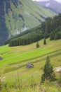 Little hut in green mountains Royalty Free Stock Photo