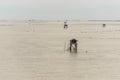 Little hut in the sea at Bang Taboon, Phetchaburi, Thailand