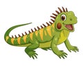 Little Iguana Cartoon Animal Illustration Royalty Free Stock Photo