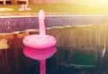 A little inflatable flamingo swims in the pool in the sunlight. In the background kissing flamingos in the shape of a heart. Cup