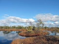 Little island in lake in moor