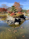 Little Island in a Pond Royalty Free Stock Photo