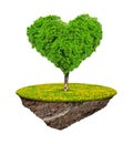 Little island and tree in the shape heart Royalty Free Stock Photo