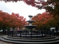 Little Italy fountain, autumn leeves, red trees New York City.