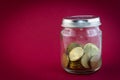 Little Jar with euro coins