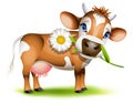 Little Jersey cow Royalty Free Stock Photo