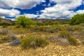 Little Karoo, South Africa Royalty Free Stock Photo