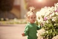 Little kid boy standing near flowerbed with blossoming petunia flowers