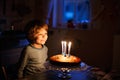 Little kid boy celebrating his birthday and blowing candles on cake Royalty Free Stock Photo