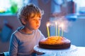 Little kid boy celebrating his birthday and blowing candles on cake Royalty Free Stock Photo