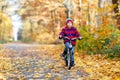Little kid boy in colorful warm clothes in autumn forest park driving a bicycle. Active child cycling on sunny fall day Royalty Free Stock Photo