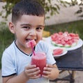 Little kid boy drinks juice from watermelon in summer.