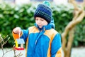 Little kid boy hanging bird house on tree for feeding in winter Royalty Free Stock Photo