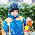 Little kid boy hanging bird house on tree for feeding in winter Royalty Free Stock Photo