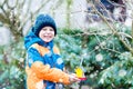 Little kid boy hanging bird house on tree for feeding in winter Royalty Free Stock Photo