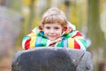 Little kid boy having fun on autumn playground
