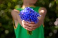 Little kid boy holding bouquet of fields blue cornflowers in summer day. Child giving flowers