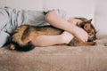 Little kid boy lying on the couch and hugging his fluffy tail red cat kitten of somaly breed Royalty Free Stock Photo