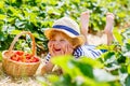 Little kid boy picking strawberries on farm, outdoors. Royalty Free Stock Photo