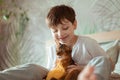 Little kid boy playing with red cat somli breed kitten. People children kids with pets concept. Royalty Free Stock Photo
