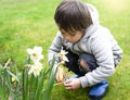Little kid boy using spray bottle watering on daffodils flowers Kid having fun with gardening, Active child activities in garden, Royalty Free Stock Photo
