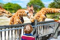 Little kid boy watching and feeding giraffe in zoo Royalty Free Stock Photo