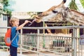 Little kid boy watching and feeding giraffe in zoo. Happy kid ha Royalty Free Stock Photo