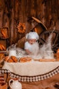 Little kid in a chef`s hat playing role of baker and knead bread dough.