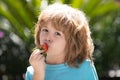 Little kid eating strawberry in nature. Child enjoys a delicious berry on green summer background. Close up kids happy Royalty Free Stock Photo