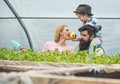 Little kid feeding his mum with bright red and yellow apple while sitting on daddys shoulders. Beaded man with his wife Royalty Free Stock Photo