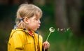 Little kid girl blowing on dandelion. Future generation. Windmills. Renewable energies and sustainable resources - wind
