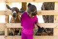 Little kid girl with domestic goat. Zoo, farm, love animal concept.