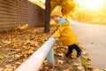 Little kid laughing and playing in the autumn on nature walks outdoors Royalty Free Stock Photo