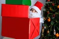Little kid, santa claus helper, an elf with a white beard holds gifts near the christmas tree, the concept of the new year, Royalty Free Stock Photo