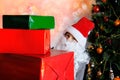 Little kid, santa claus helper, an elf with a white beard holds gifts near the christmas tree, the concept of the new year, Royalty Free Stock Photo