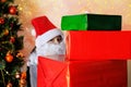 Little kid, santa claus helper, an elf with a white beard holds gifts near the christmas tree, the concept of the new year, Royalty Free Stock Photo