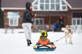 Little kid on snow tubing with sled dog Royalty Free Stock Photo