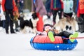 Little kid on snow tubing with sled dog Royalty Free Stock Photo