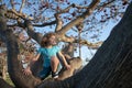Little kid on a tree branch. Child climbs a tree.