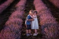 Little kids boy girl cute hugging in rows of purple lavender field. Loving children couple have fun