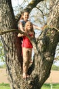 Little kids - girls standing on tree Royalty Free Stock Photo