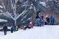 Little kids and people enjoying on snow and sledding down the hills