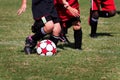 Little Kids Soccer Game