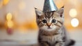 A little kitten celebrates his birthday, Christmas or New Year