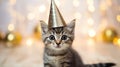 A little kitten celebrates his birthday, Christmas or New Year