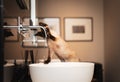 Little kitten Devon Rex playing with a water from a water tap in the bathroom interior. Selective focus, bokeh