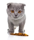 Little kitten eating pet food on white Royalty Free Stock Photo