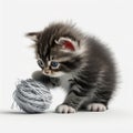 Little kitten playing with a ball of wool