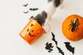 Little kitten playing with Jack o lantern candy pail on white background with pumpkin, bats and spider decorations, celebrating