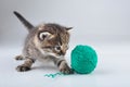 Little kitten playing with a woolball